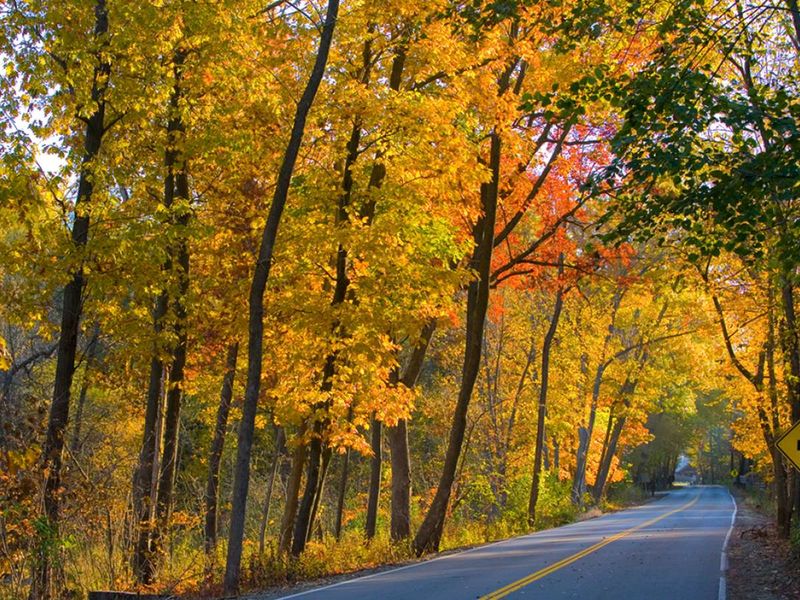 14 Scenic Weekend Drives Across Illinois That Are Worth The Time Off - Decor Hint Spoon River Valley Scenic Drive
