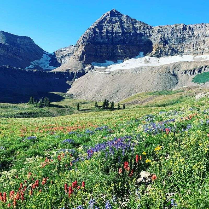 Trails In Utah That Show Why Hiking Here Is Unforgettable - Decor Hint Mount Timpanogos Trail via Timpooneke