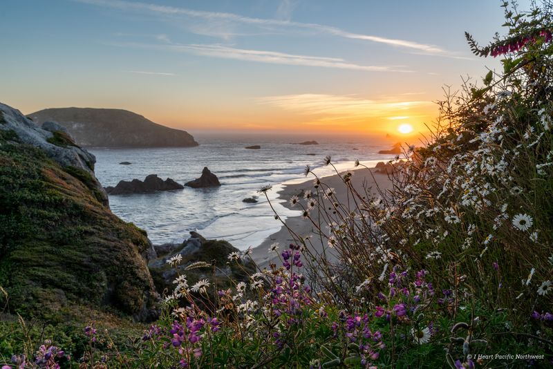 Coastal Beauty Awaits At This Must-Visit Oregon State Park Beach - Decor Hint Easy Access From Brookings