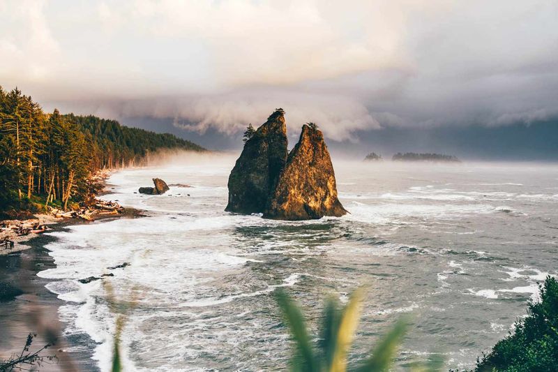 Ditch The Hotel - Take Your RV To The Most Stunning National Parks In California And Beyond - Decor Hint Olympic National Park, Washington
