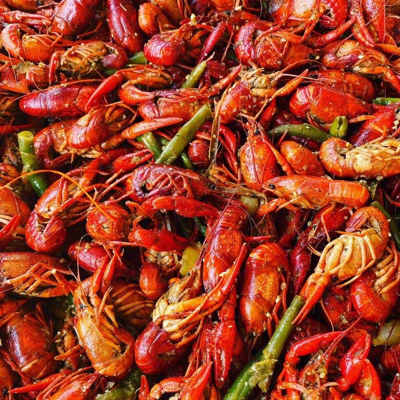 13 Texas Fish Fry Destinations Where The Views Are As Good As The Catch - Decor Hint Crazy Cajun on Clear Lake