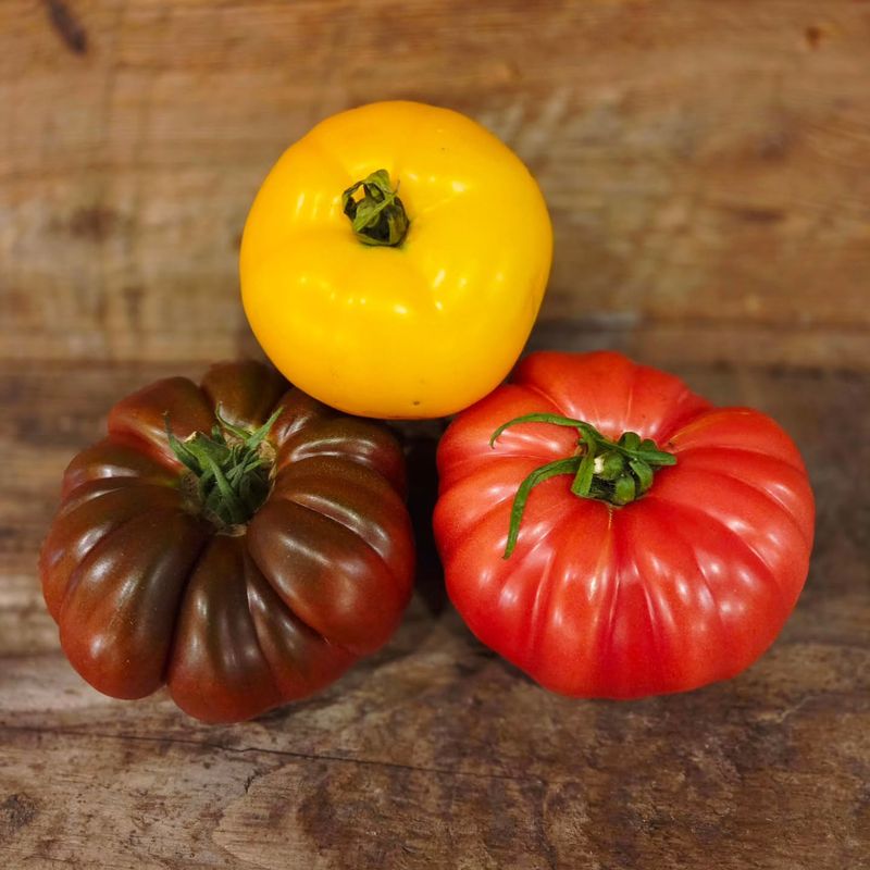 Vermont Grocery Stores Known For Fresh Pumpkins And Fall Produce - Decor Hint Farmhouse Market - Wilmington