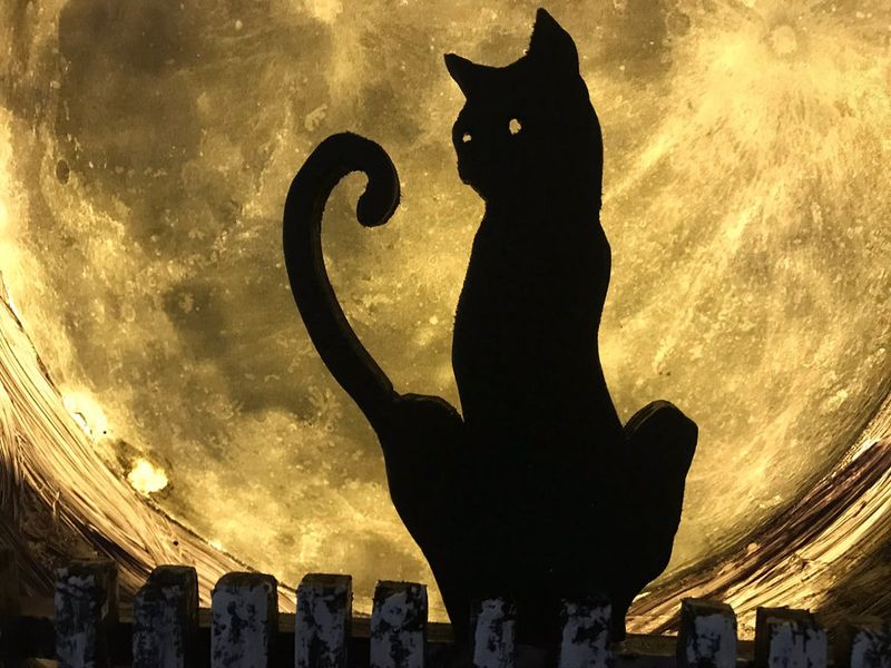 Massachusetts Celebrates With 19 Magical Halloween Displays Neighbors Love - Decor Hint Black Cat Silhouette Collection