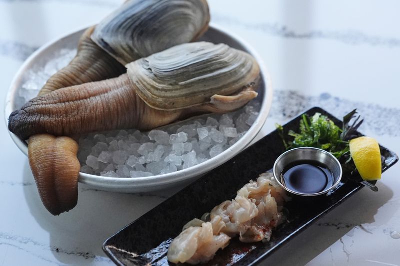 Geoduck Clams