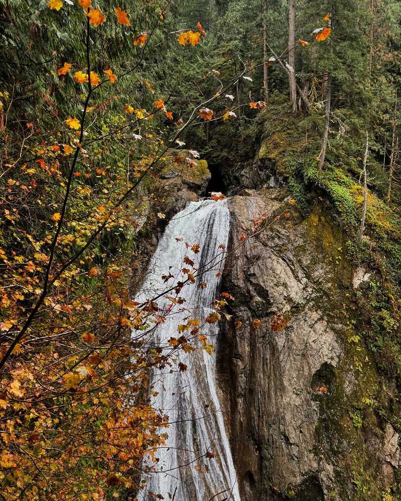 Must Try Beginner Trails In Washington For The Perfect Fall Getaway - Decor Hint Twin Falls Trail