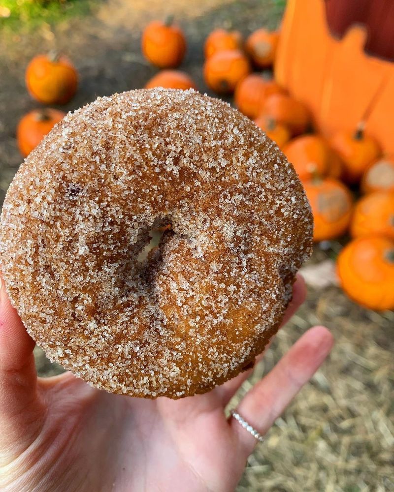 17 Illinois Cider Donut Stands That Make Every Bite Feel Like Autumn - Decor Hint Sonny Acres Farm - West Chicago