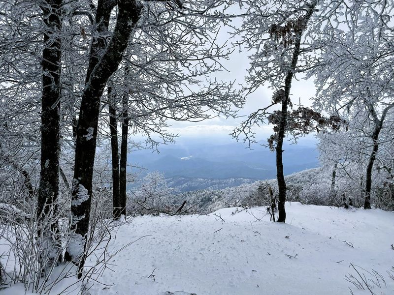 Georgia Spots Where You Might Just See Real Winter Snow - Decor Hint Rabun Bald