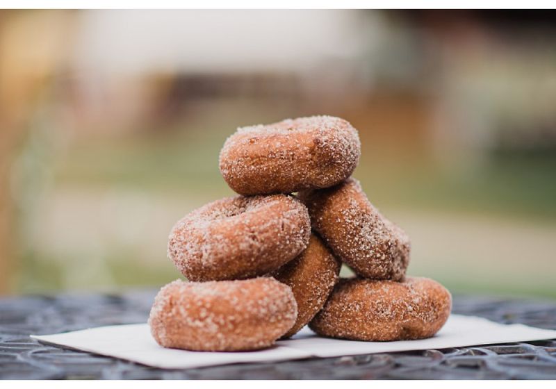 14 Pennsylvania Spots Serving Fresh, Warm, And Perfect Cider Donuts - Decor Hint Cherry Crest Adventure Farm, Ronks