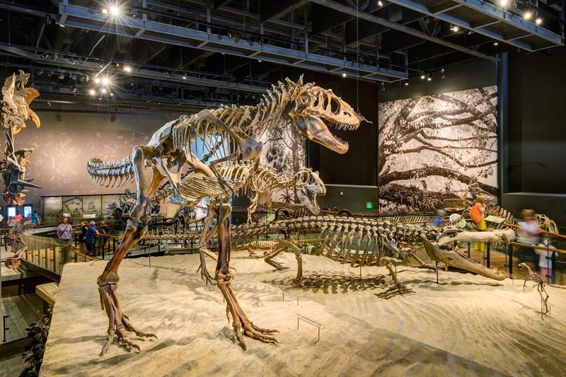 Discover The Natural History Museum Of Utah