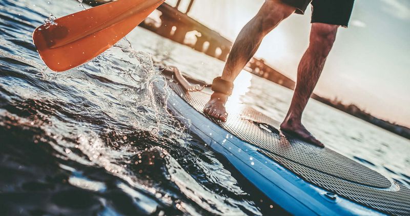 Outdoor Activities To Enjoy In Tampa With Friends Or Family - Decor Hint Stand-Up Paddleboarding on the Hillsborough River