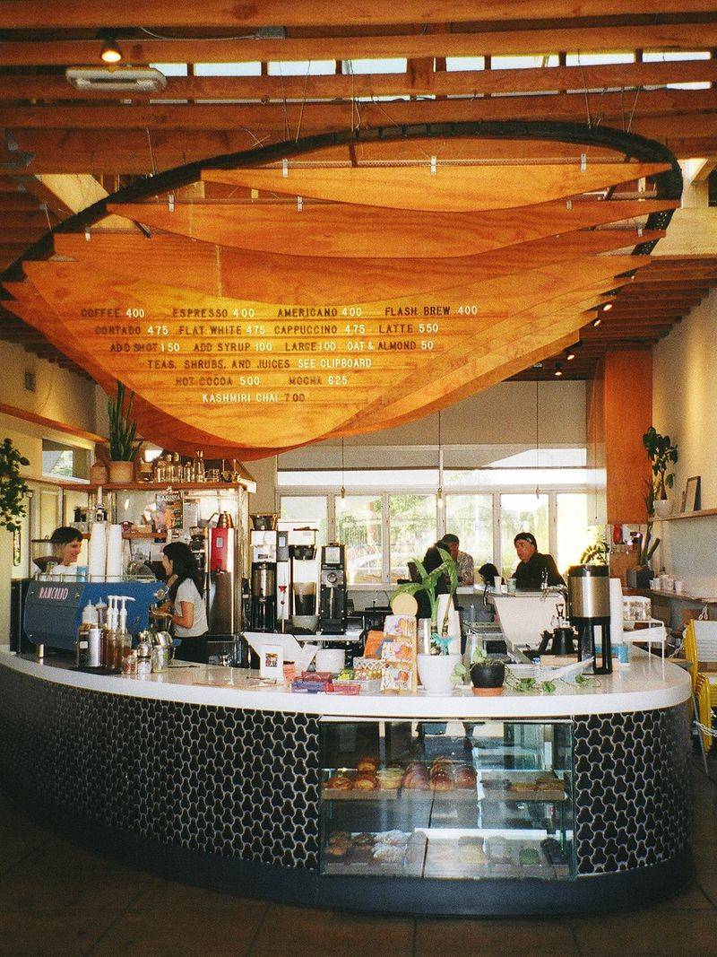 Dinosaur Coffee
