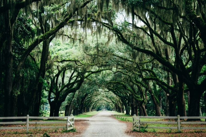 20 U.S. Destinations That Are Even Better In The Off-Season, Spanning Maine And Florida - Decor Hint Savannah, Georgia