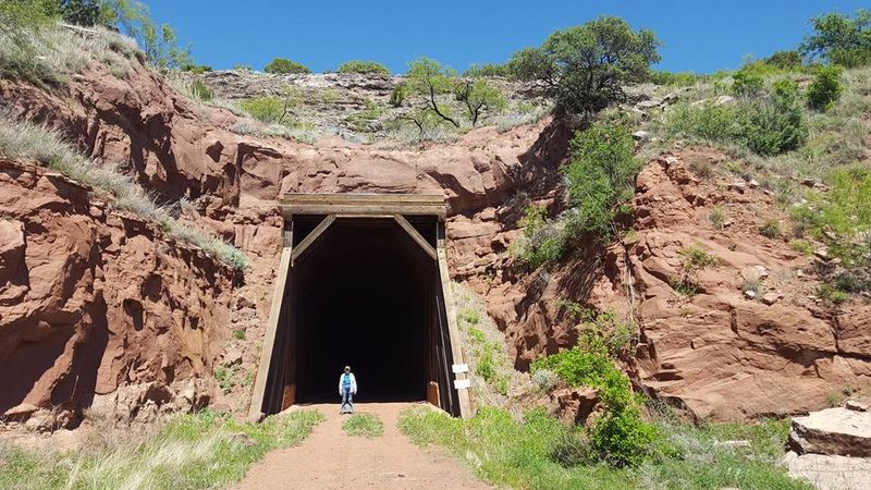 Caprock Canyons Trailway Tunnel Bats