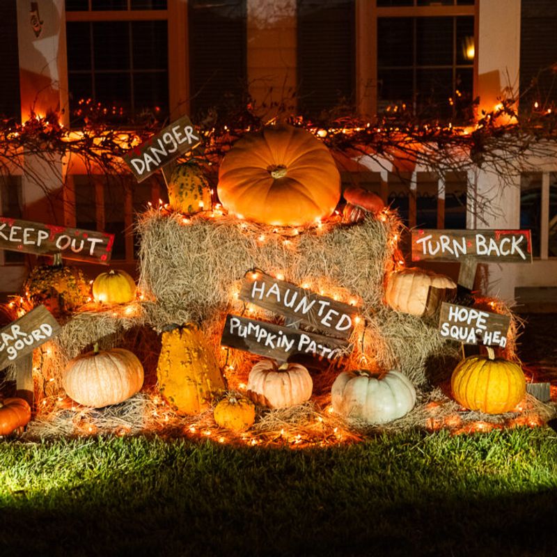 Pumpkin Patch Of Phantoms