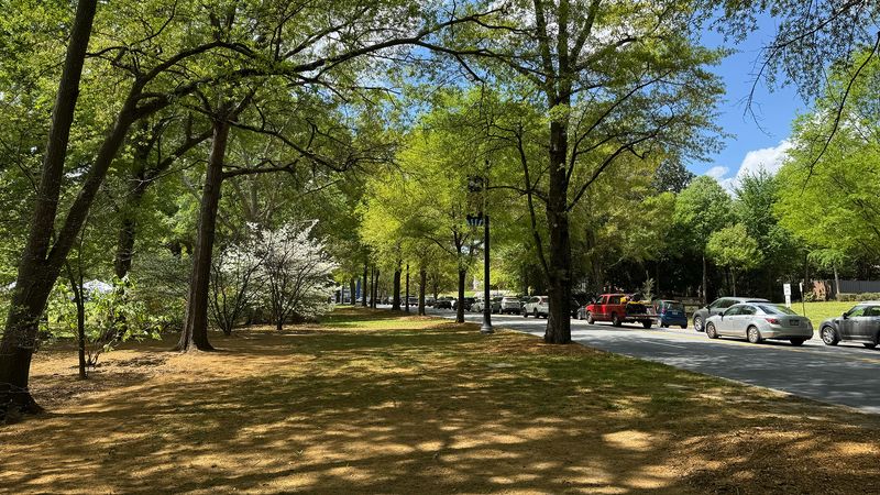 A Georgia Suburb That's A Hidden Retirement Haven With Tree-Lined Streets And History - Decor Hint Tree Lined Streets And Mature Canopy