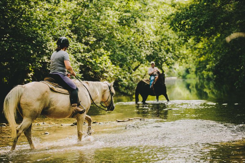 Southwest Virginia Heritage Route
