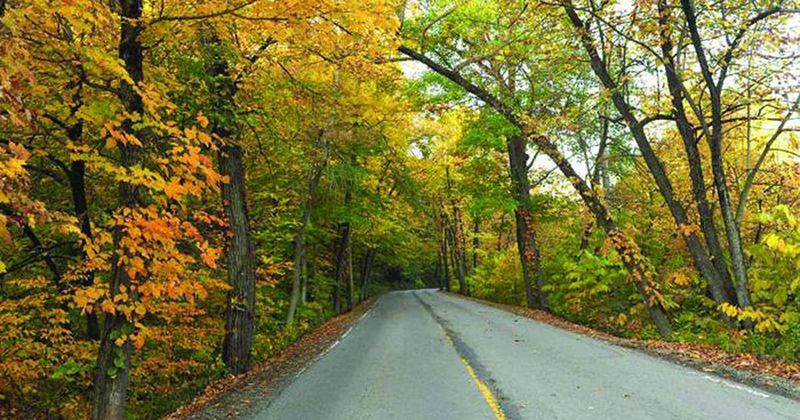 14 Scenic Weekend Drives Across Illinois That Are Worth The Time Off - Decor Hint Illinois River Road: Utica to Starved Rock