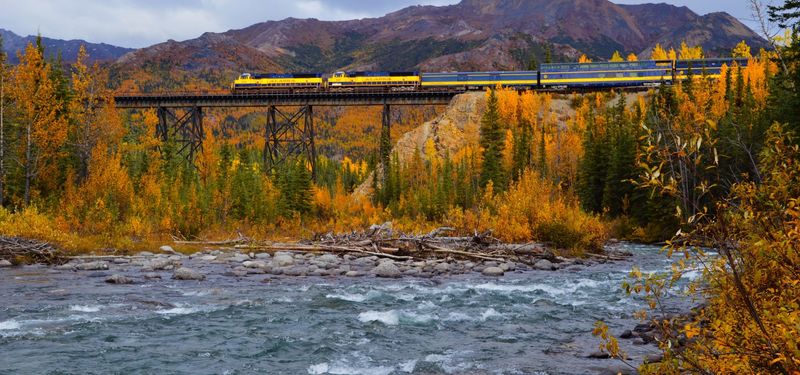 All Aboard Alaska’s Denali Star: Scenic Peaks & Small Towns On The Rail Route - Decor Hint Wildlife Along The Nenana River Gorge