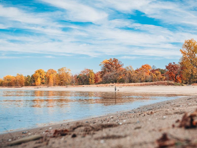Fall Road Trips Across Ohio Packed With Family Fun And Scenic Views - Decor Hint Lake Erie Coastal Trail Journey