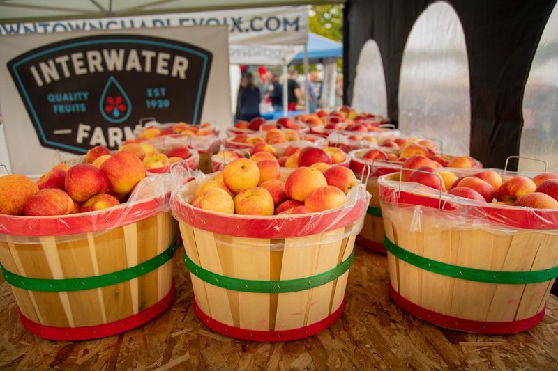 Charlevoix Apple Festival