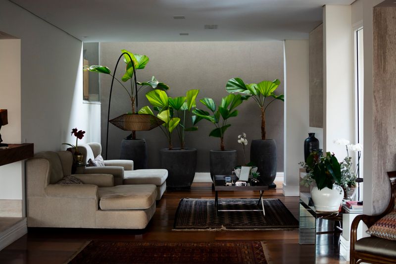 Entryway Statement Garden in Palm Beach