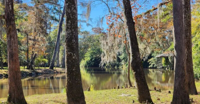 Home To A Thriving Art District, This Is Louisiana’s Most Peaceful Town