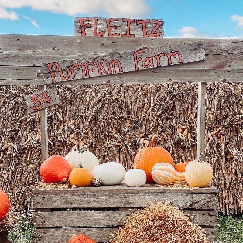 Fleitz Pumpkin Farm Harvest Celebration