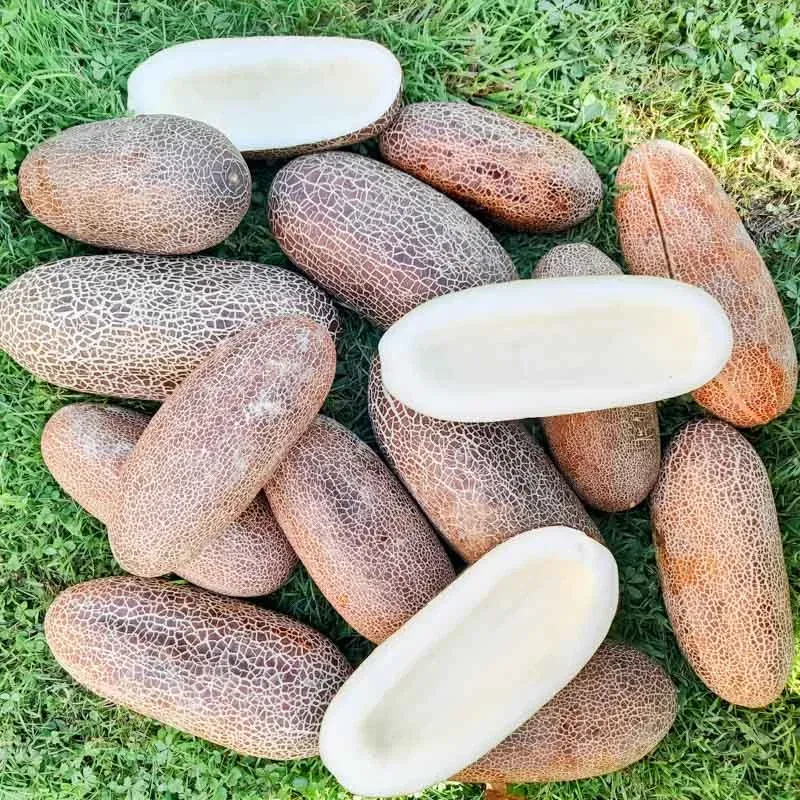 11 Oregon Foods Visitors Always Mispronounce - Decor Hint Keizer Cucumber