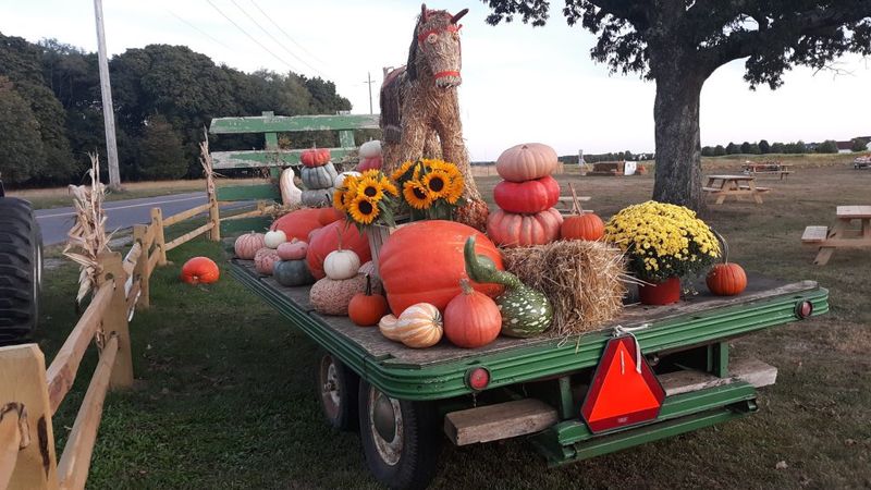 20 Cozy Fall Dates In New York's Most Enchanting Places - Decor Hint Explore The Orchards Of Long Island's North Fork