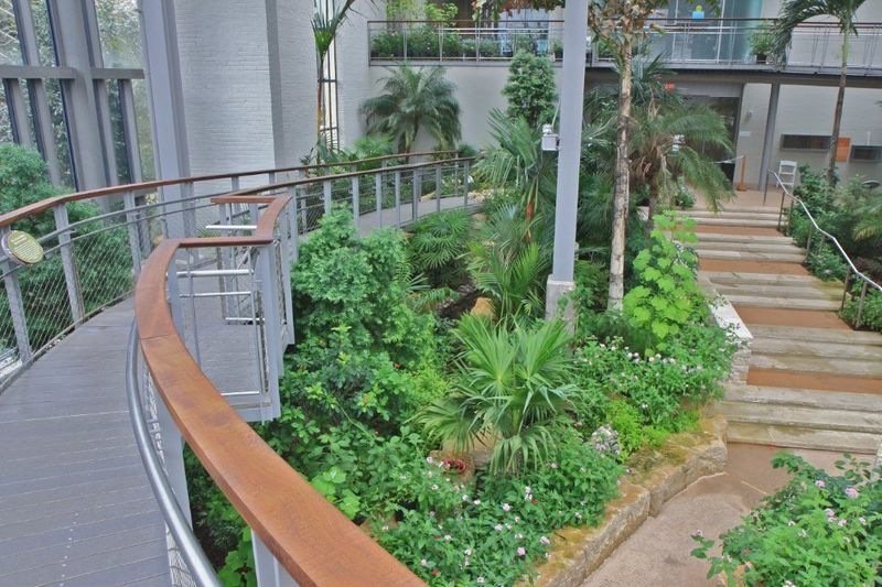 Texas Discovery Gardens (Dallas) – Rosine Smith Sammons Butterfly House