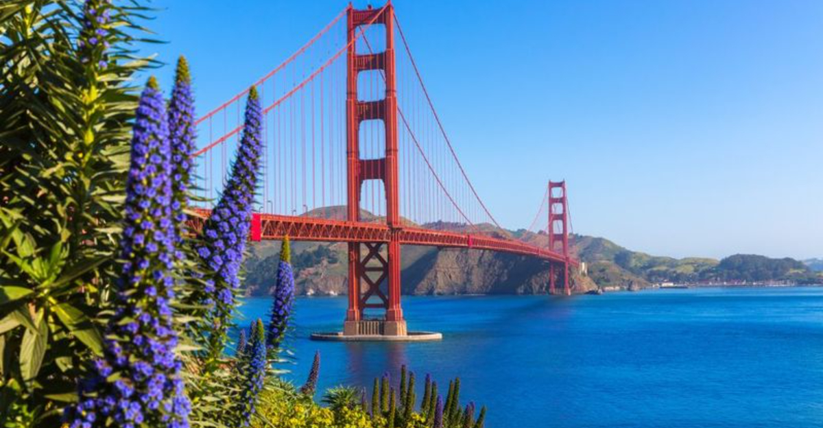 How Bay Area California Homes Have Gained Value And What That Means For - Decor Hint