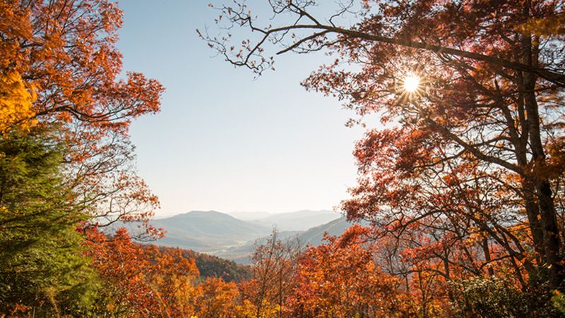 Baby Boomers Are Driving Big Changes In North Carolina Real Estate - Decor Hint Why Boomers Are Choosing North Carolina