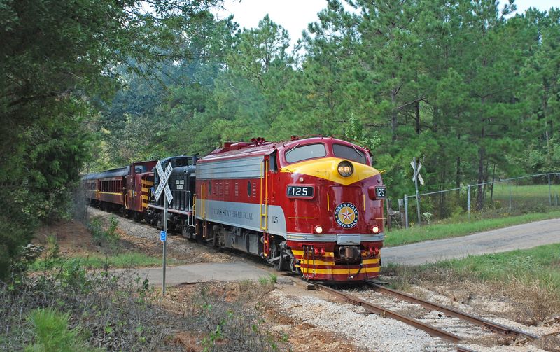 Discover Texas’ Beauty On This Scenic Train Adventure - Decor Hint Local Wildlife You Might Spot On The Journey