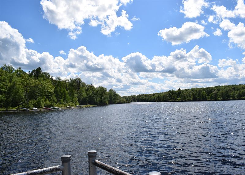 Discover the Poconos Mountain Town In Pennsylvania That's Ideal For A Scenic Escape - Decor Hint Exploring Tobyhanna State Park And Its Lake