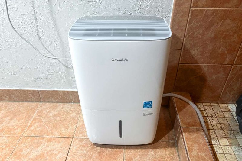 Louisiana Homeowners Are Turning To This Budget-Friendly Upgrade To Fight Mold - Decor Hint Energy Efficiency As A Bonus Benefit