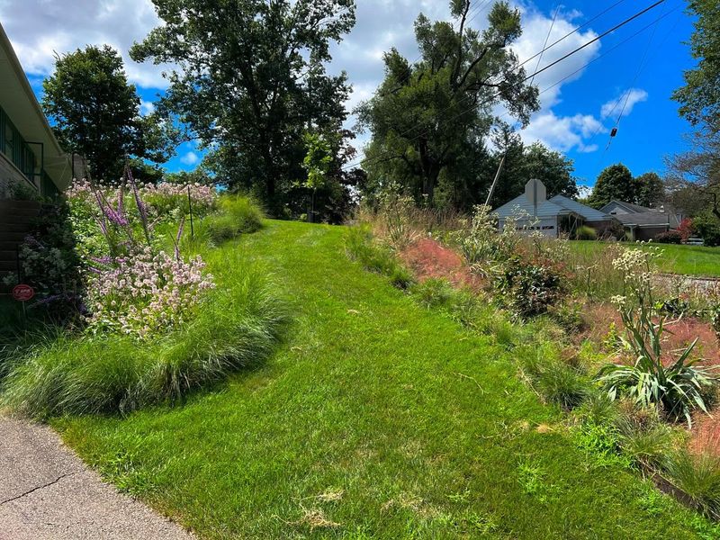 Why You'll Want To Plant Goldenrod In Your Michigan Yard After All - Decor Hint Great Plants To Pair With Goldenrod