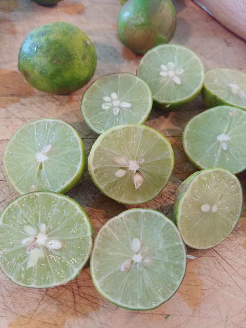 18 Florida Country Recipes That Taste Like Sunshine And Family - Decor Hint Old Sour Sauce (Fermented Key Lime Sauce)