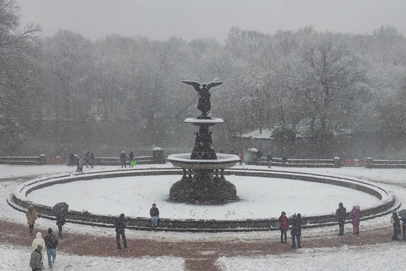 Central Park In The Snow