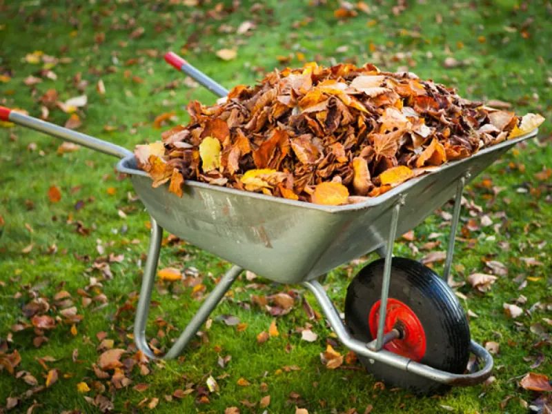 Fall Garden Mistakes Every Colorado Homeowner Should Know About - Decor Hint Leaving Garden Debris Uncleaned