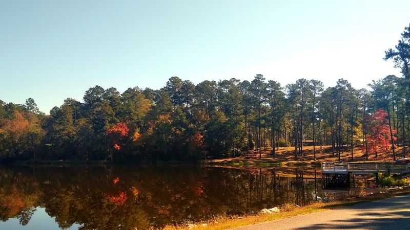 Hard Labor Creek State Park – Rutledge