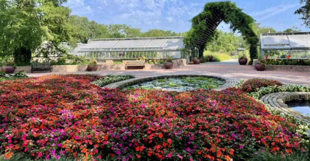 Inside 11 Texas Gardens With Stunning Plant Collections That Everyone Talks About - Decor Hint