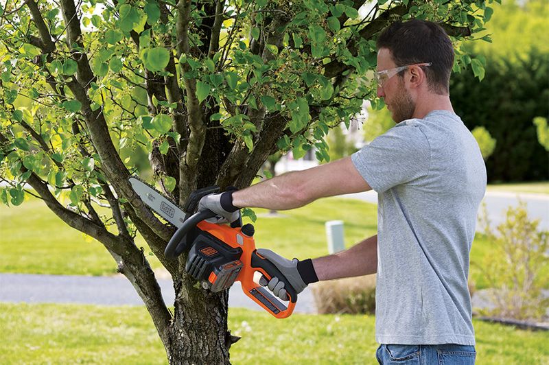 13 Easy Ways To Stop Pests From Invading Your Wyoming Home Before Fall - Decor Hint Trim Trees and Shrubs Away From Your House