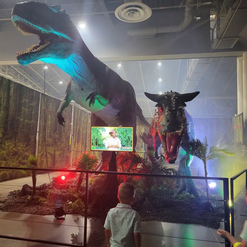 Dino Rides For Kids