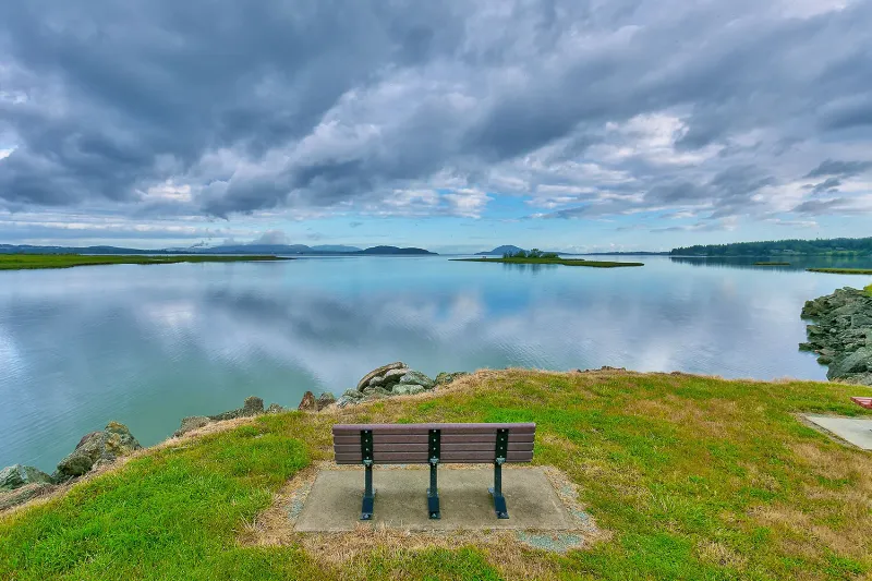 Must Try Beginner Trails In Washington For The Perfect Fall Getaway - Decor Hint Padilla Bay Shore Trail