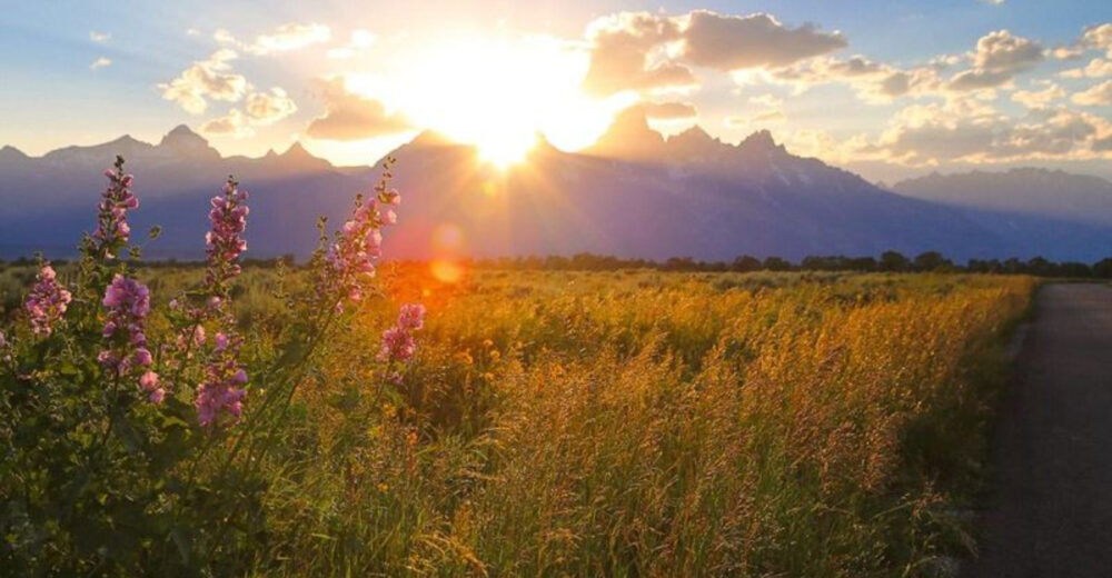 Jackson Hole Wyoming Keeps Summer Fun Going With Extended Activities - Decor Hint
