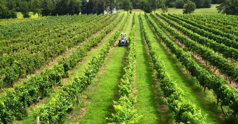 Piedmont Plateau Wine Circuit