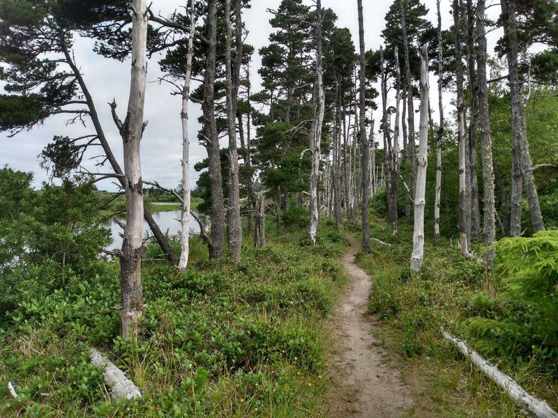 Explore The Charming Coastal Town That Marks The End Of The Oregon Trail - Decor Hint Cycling And Hiking Trails