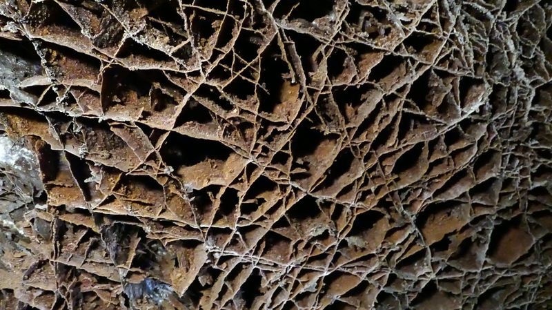 Wind Cave National Park