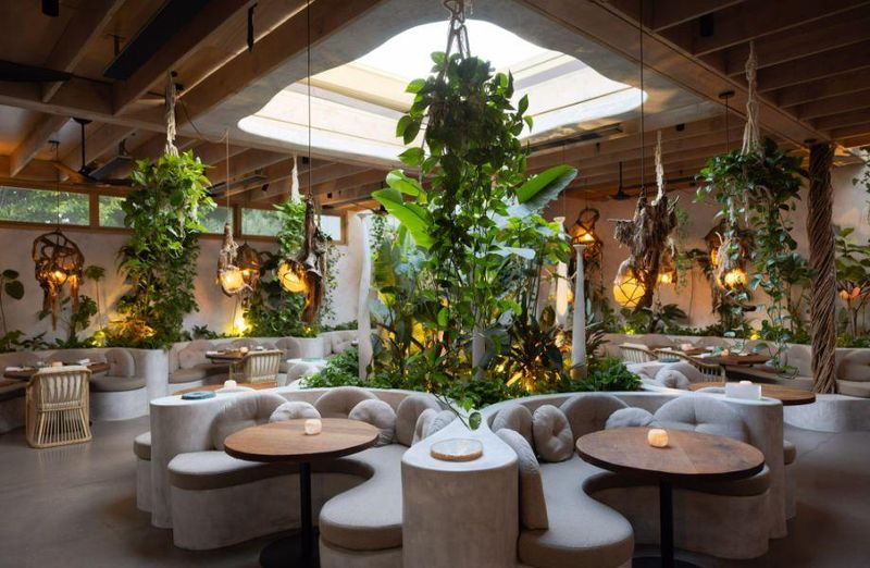 Fun And Flavorful Dinner Destinations In Los Angeles - Decor Hint Meteora