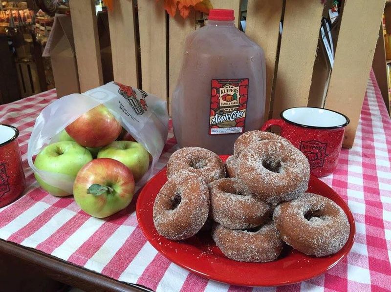 17 Illinois Cider Donut Stands That Make Every Bite Feel Like Autumn - Decor Hint Kuipers Family Farm - Maple Park